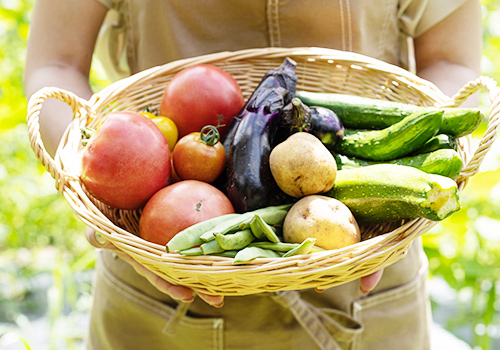 料理教室で使用する食材は季節の野菜、無農薬米など国産、オーガニックなものを使用